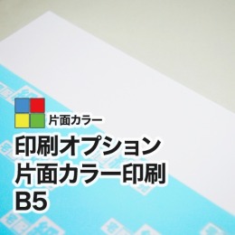 片面カラー B5