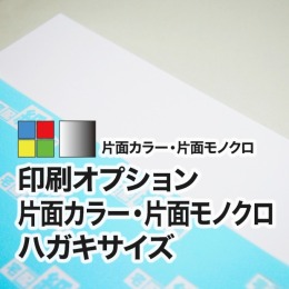 片面カラー・片面モノクロ ハガキサイズ