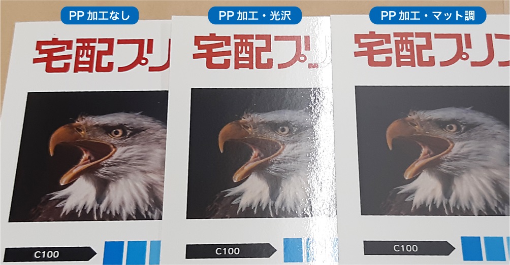 PP貼りオプション