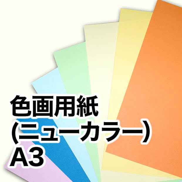 色画用紙（ニューカラー） A3（297×420mm） / 宅配紙販売