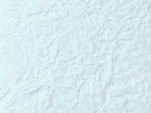 もみ紙スタンダード・白