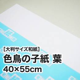 【大判和紙】色鳥の子紙　葉　40×55cm