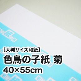 【大判和紙】色鳥の子紙　菊　40×55cm