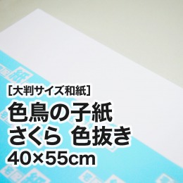 【大判和紙】色鳥の子紙 さくら 色抜き 40×55cm 【大判和紙】色鳥の子紙 さくら 色抜き 40×55cm