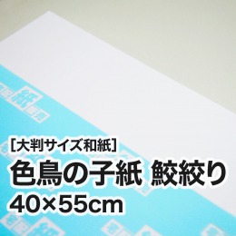 【大判和紙】色鳥の子紙　鮫絞り　40×55cm