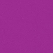 タント・紫（N-73）